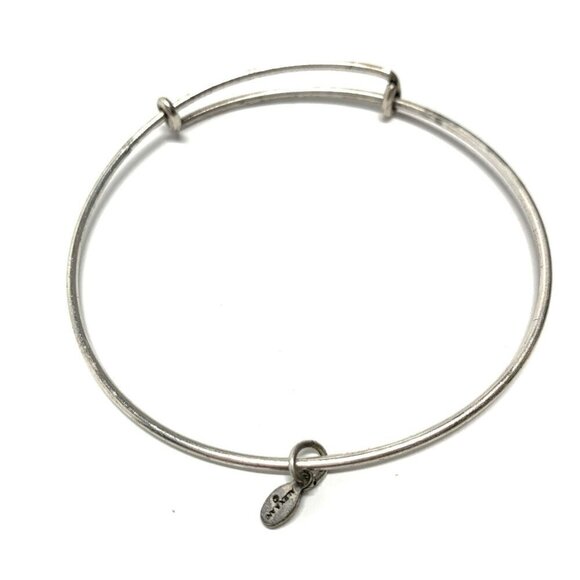 Alex and Ani Charm Station Bracelet Silver Finish - Expands 2"- 3.5" - Picture 1 of 1